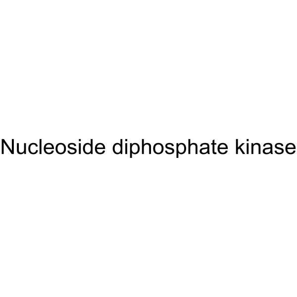 Nucleoside diphosphate kinase (Nucleoside 5′-diphosphate kinase) 9026-51-1